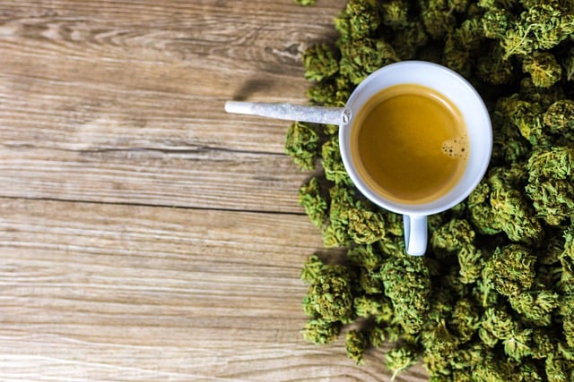 Ontdek de beste cannabisolie: een gedetailleerde blik op kwaliteit en effectiviteit